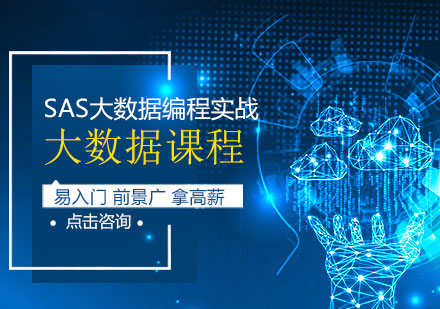 上海SAS大數(shù)據(jù)編程實戰(zhàn)