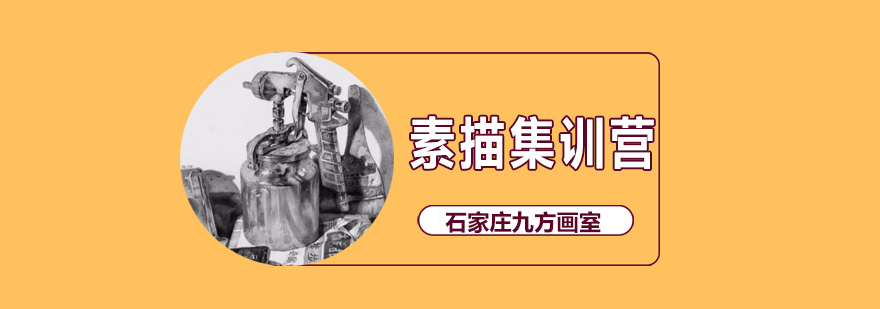 素描静物写生教学