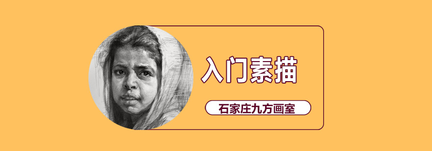 素描静物写生示范