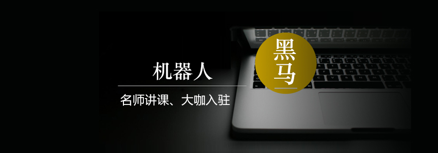 编程课程体系