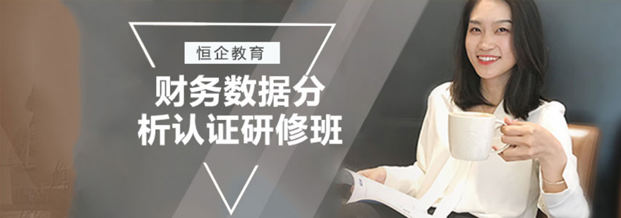 财务数据分析课程