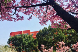 学校环境图7