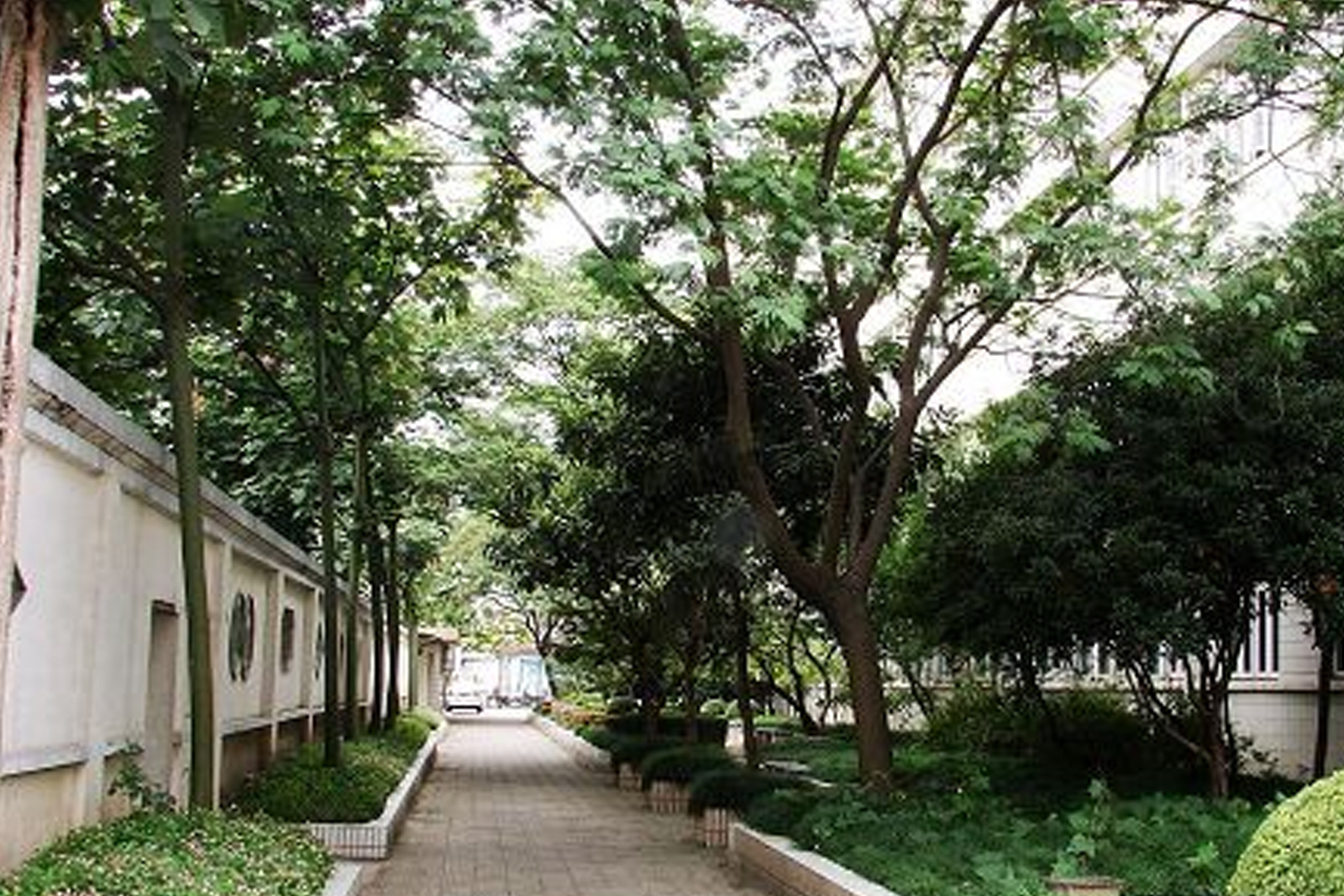 学校环境图6