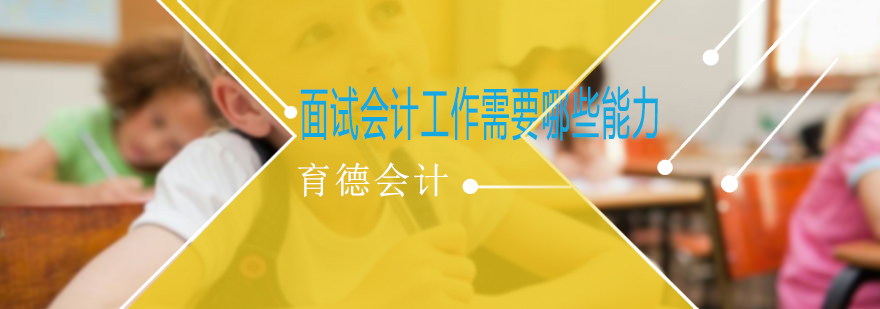 会计职业能力示意图