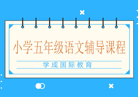 湘潭小学五年级语文辅导课程