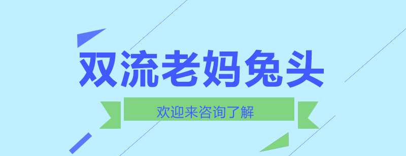双流老妈兔头成品展示