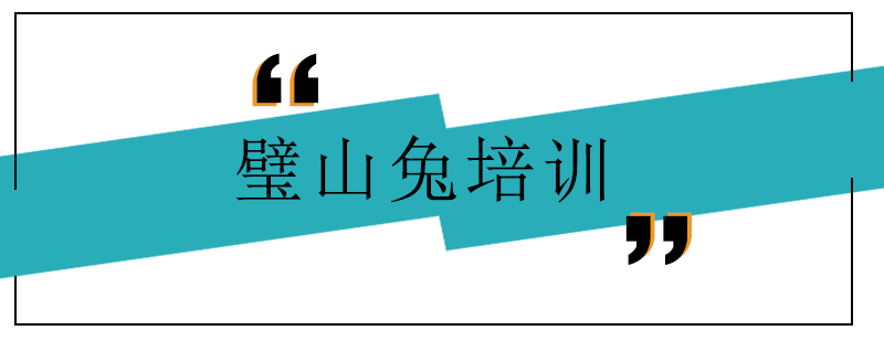 璧山兔成品展示