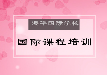 澳华国际课程
