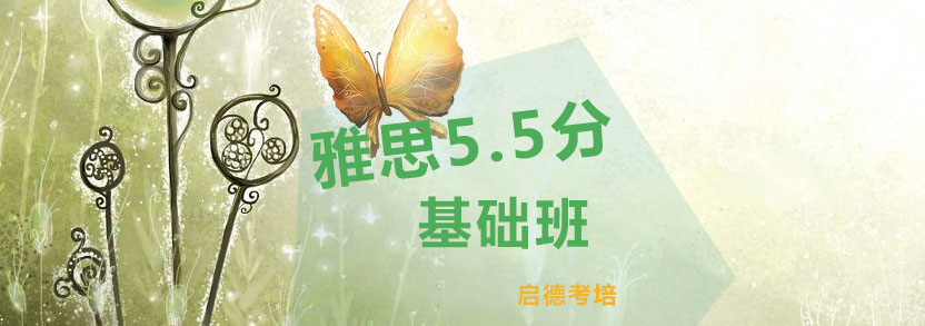 雅思55