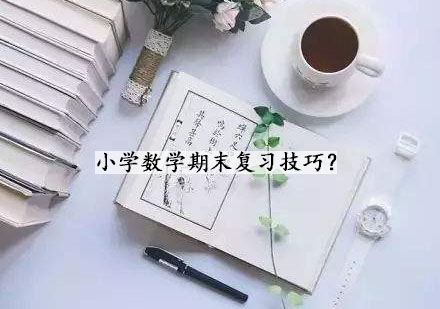 小学数学期末高效复习全攻略