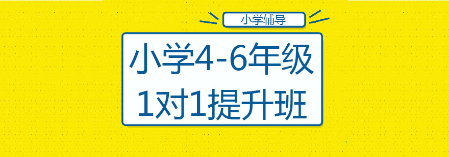 小学46年级1对1提升班