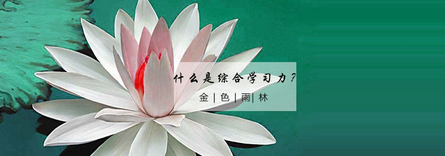 综合学习力培养体系