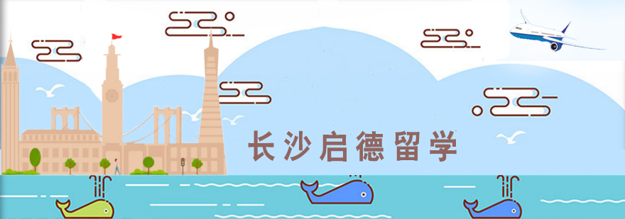 国际教育服务体系