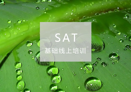 杭州SAT基础线上培训班