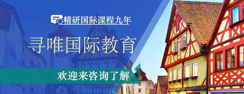 国际课程教学团队