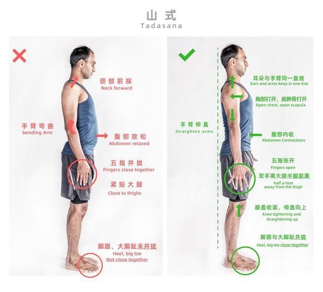 山式标准动作
