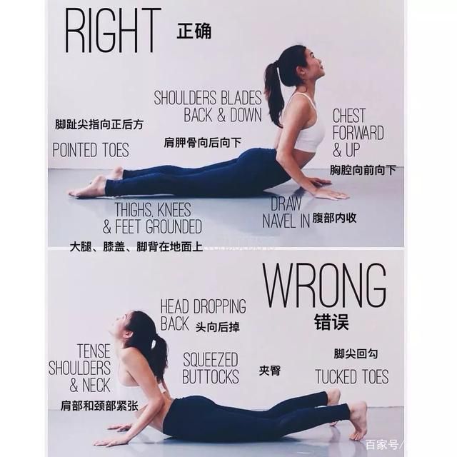 眼镜蛇式肌肉控制