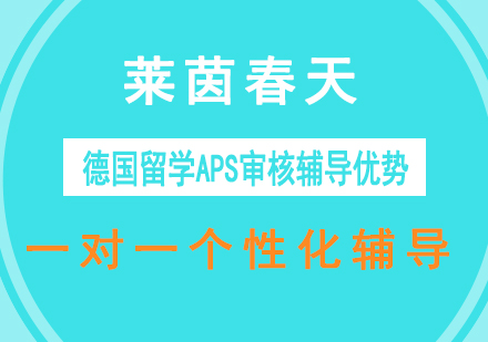 莱茵春天德国留学APS审核辅导优势