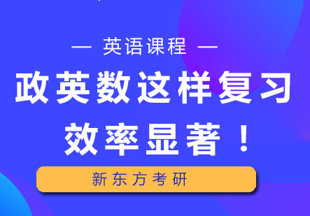 政英数高效复习全攻略