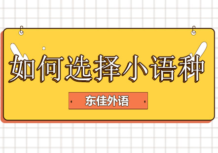 小语种学习指南：如何选择发展潜力的语言课程