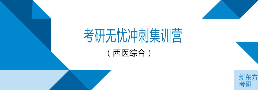 天津新东方考研无忧冲刺集训营西医综合