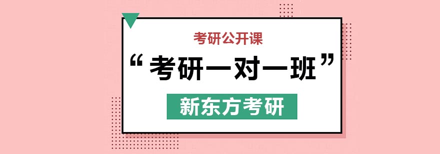 天津新东方考研一对一班