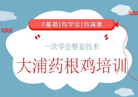 上海大浦藥根雞培訓