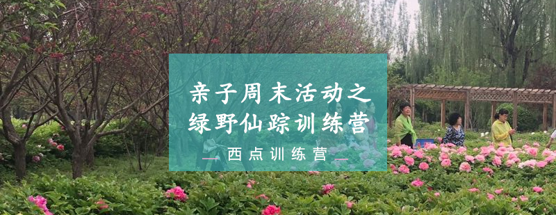 绿野仙踪亲子活动主视觉