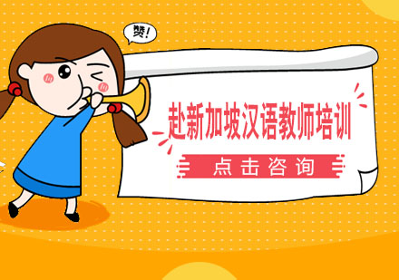 赴新加坡汉语教师培训