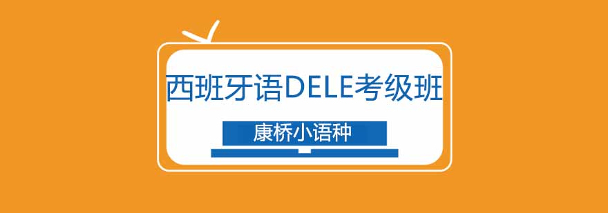 DELE考级班课堂实景
