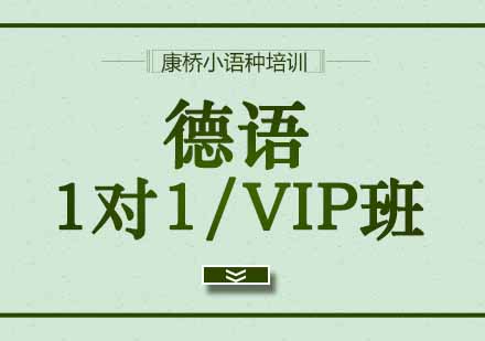 西安德语1对1/VIP班