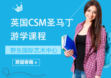 上海英国CSM圣马丁游学课程