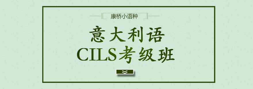 CILS考级班课堂实景