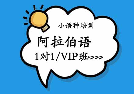 西安阿拉伯语1对1/VIP班