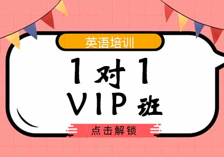 西安1对1/VIP班