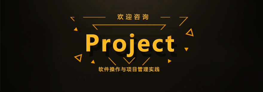 Project软件操作界面