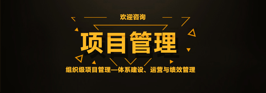 项目管理体系架构图