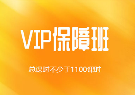 VIP全程班