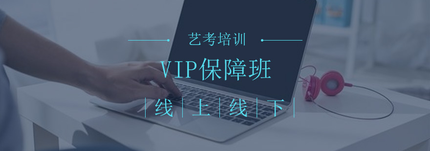VIP艺考课程体系