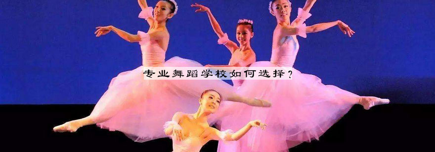 舞蹈学校环境评估