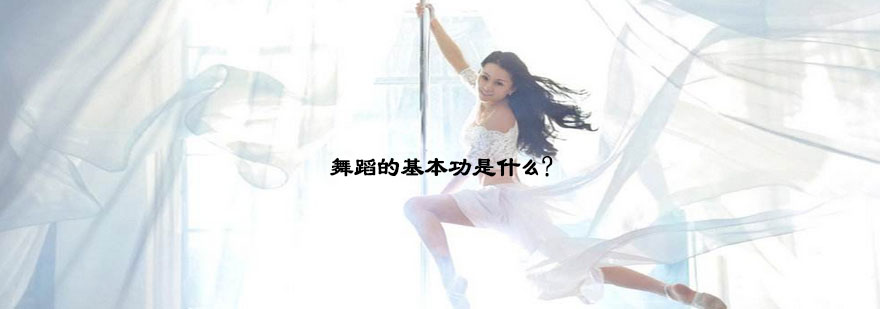 舞蹈基本功训练示意图