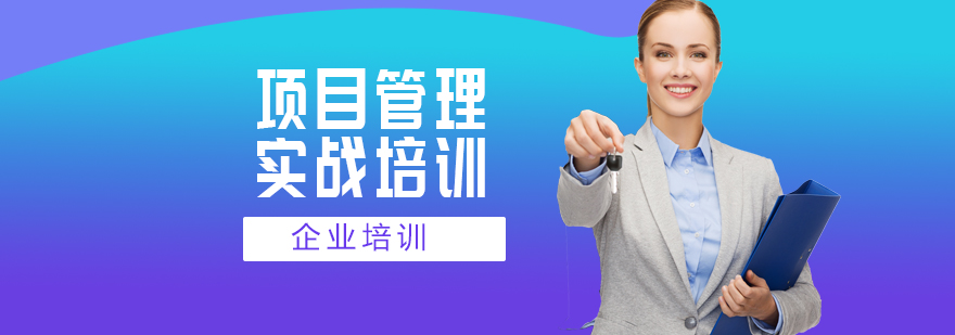 项目管理体系构建