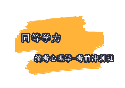 上海同等學(xué)力統(tǒng)考心理學(xué)-考前沖刺班