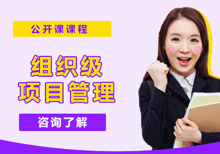 苏州组织级项目管理