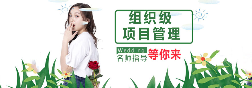 组织级项目管理课程主视觉