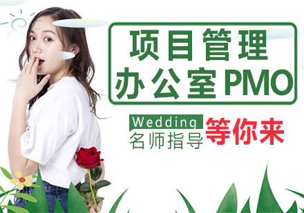 苏州微权力下的项目管理办公室PMO