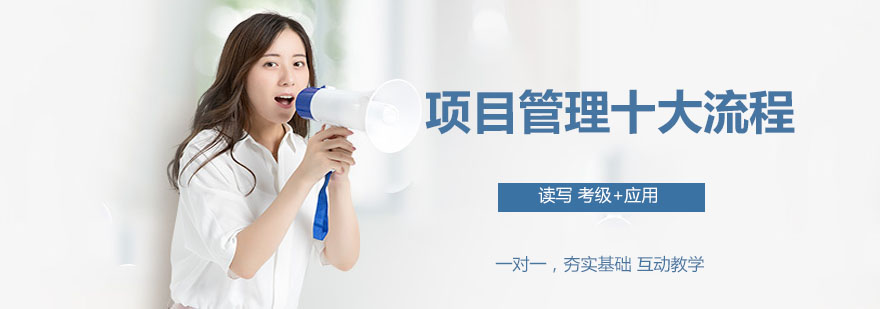 项目管理质量监控模型