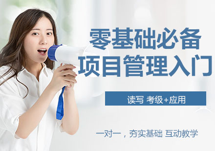 项目管理体系化实战指南