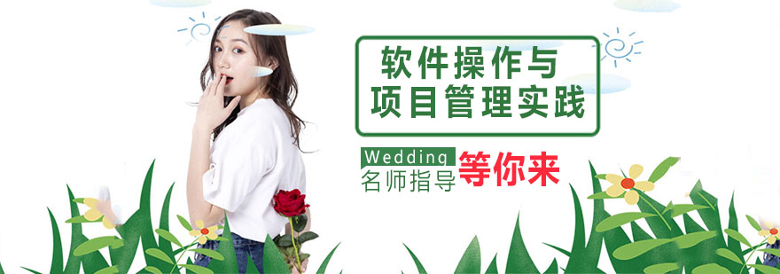 Project软件操作界面演示