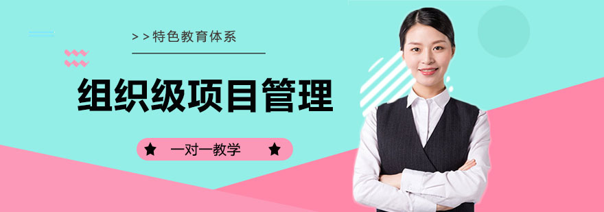 项目管理体系构建
